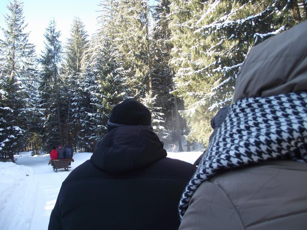 Cabana Piatra Runcului วาตรา โมลโดวิเซ ภายนอก รูปภาพ