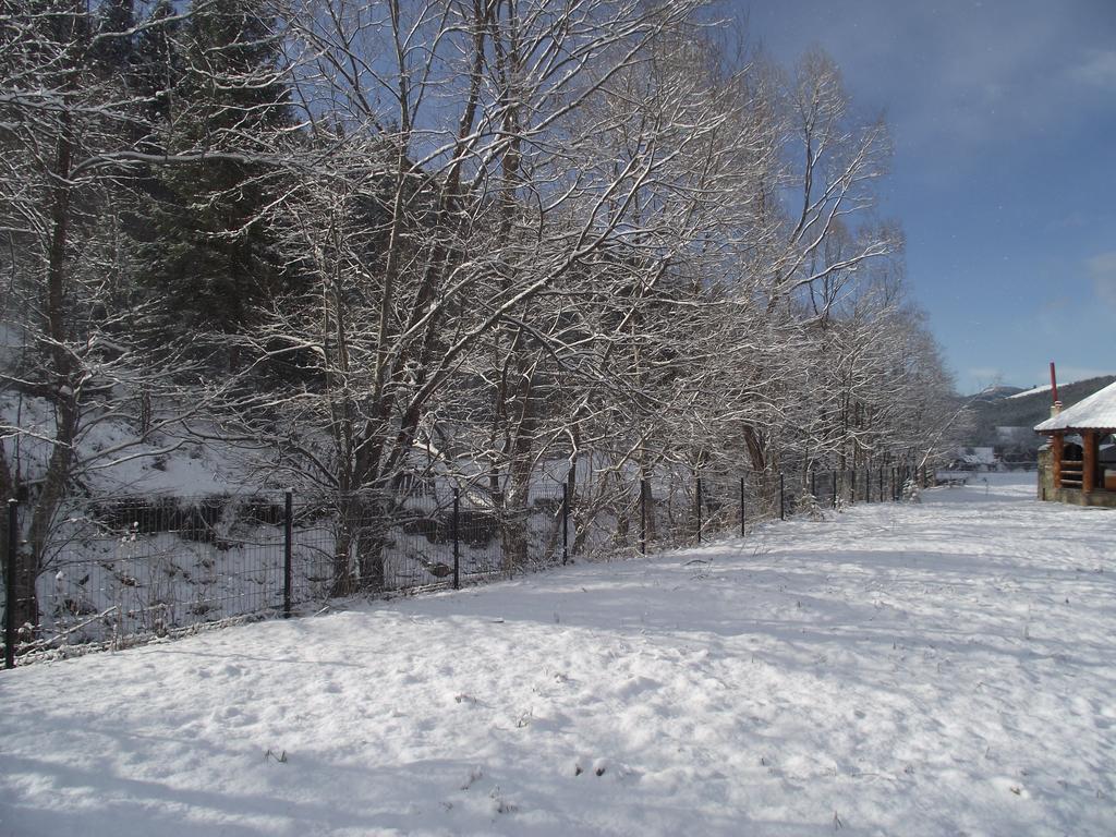 Cabana Piatra Runcului วาตรา โมลโดวิเซ ภายนอก รูปภาพ