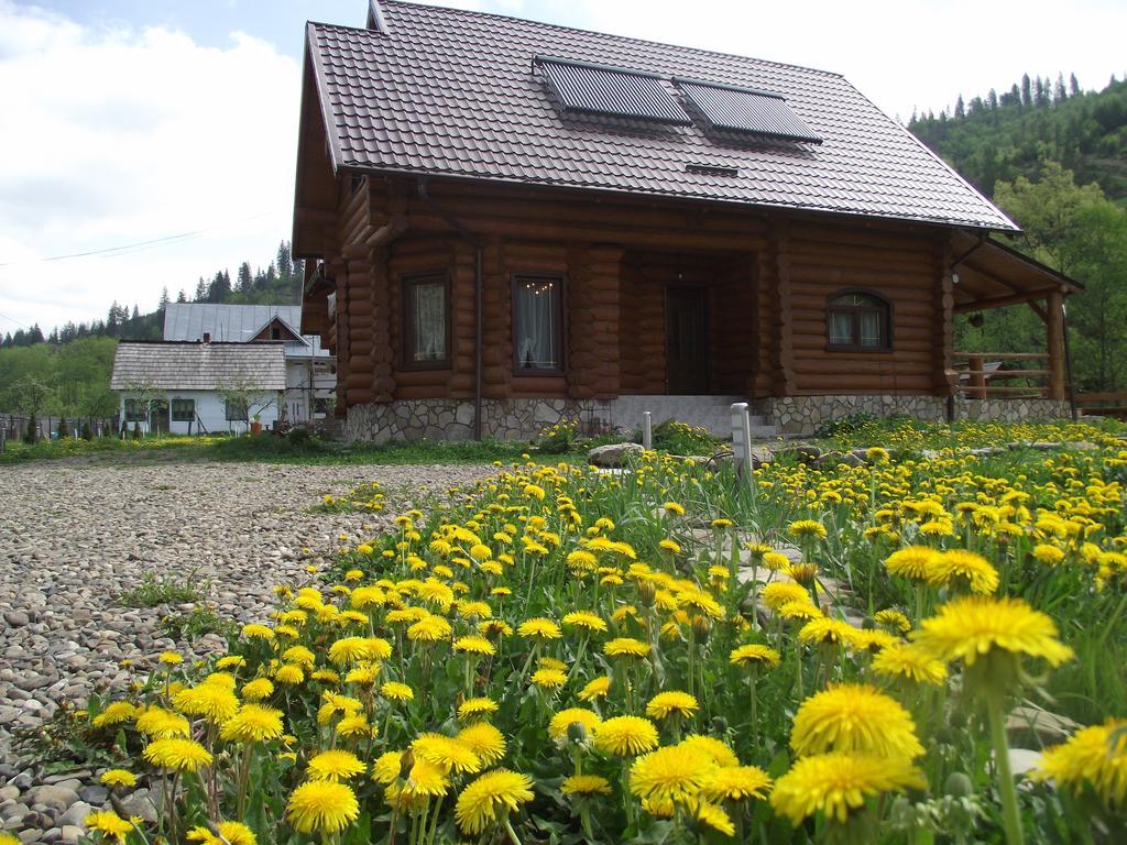 Cabana Piatra Runcului วาตรา โมลโดวิเซ ภายนอก รูปภาพ