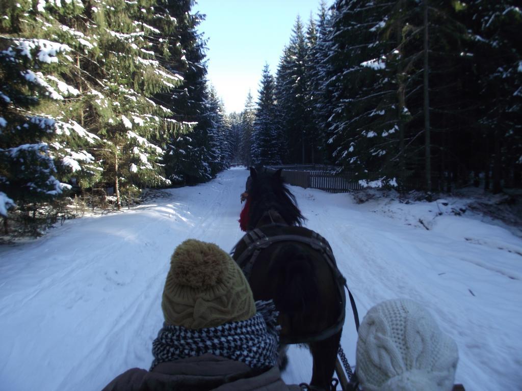 Cabana Piatra Runcului วาตรา โมลโดวิเซ ภายนอก รูปภาพ