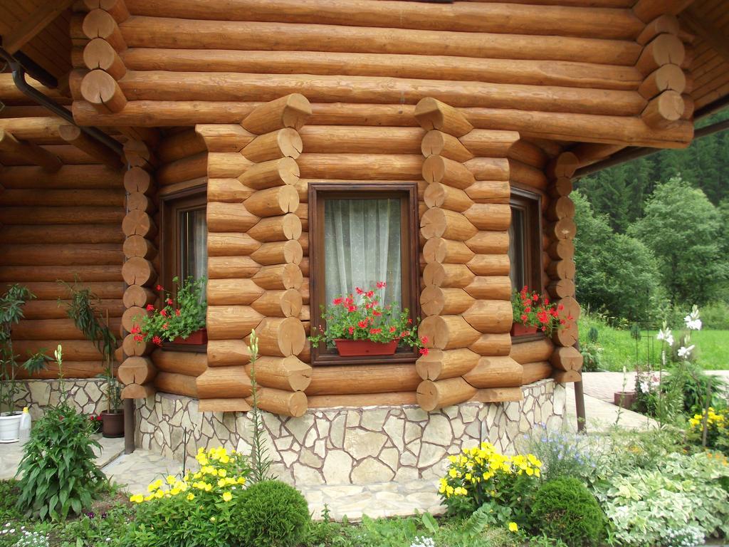 Cabana Piatra Runcului วาตรา โมลโดวิเซ ภายนอก รูปภาพ