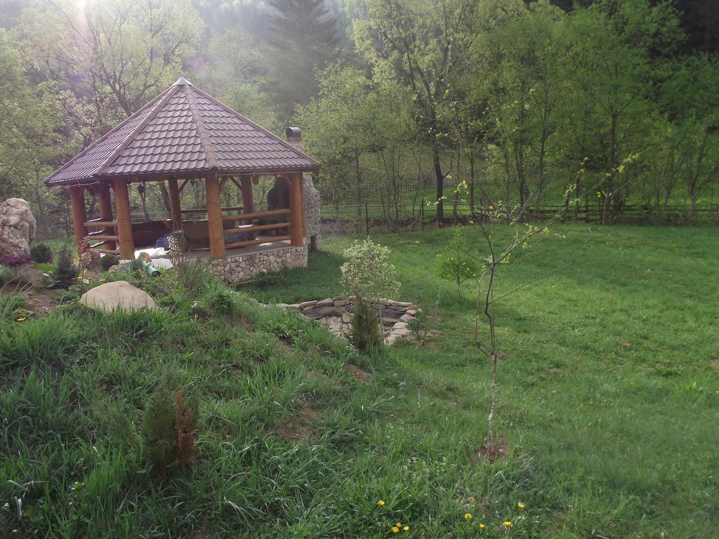 Cabana Piatra Runcului วาตรา โมลโดวิเซ ภายนอก รูปภาพ